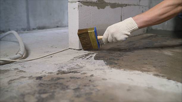 SJ Waterproofing Pros Waterproofing coverage map for Richmond, MI and surrounding area